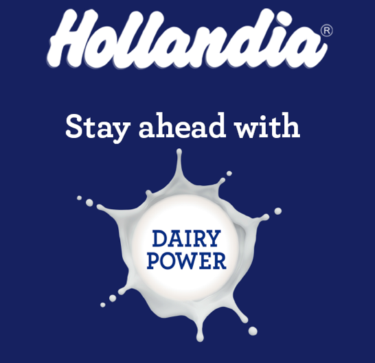 HOLLANDIA